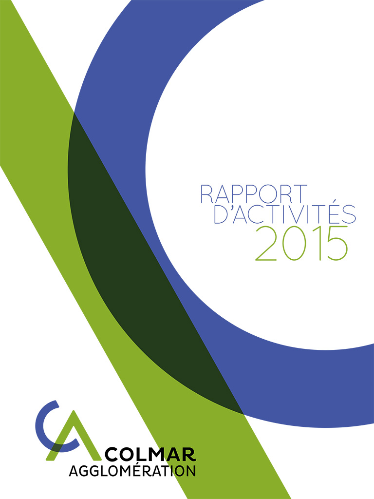 Le rapport d'activités 2015