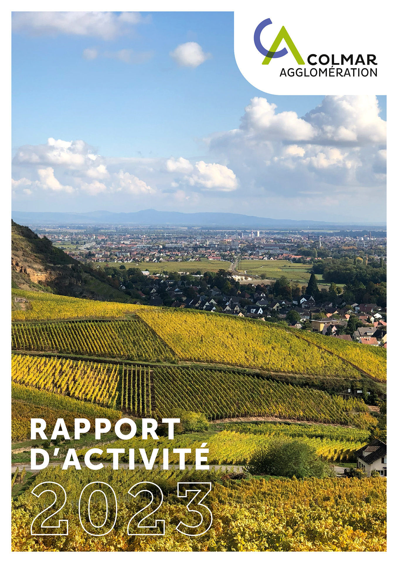 Le rapport d'activités 2020